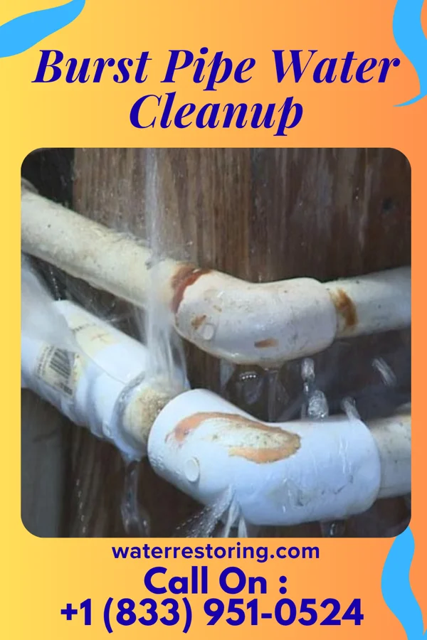 Burst Pipe Water Cleanup in Twin Oaks, MO
