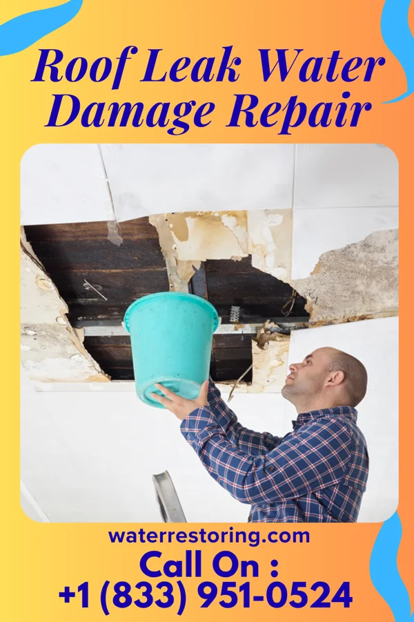 Roof Leak Water Damage Repair in Twin Oaks, MO