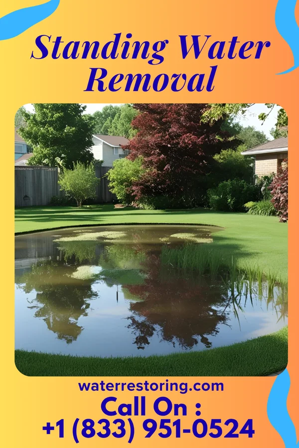 Standing Water Removal in Twin Oaks, MO